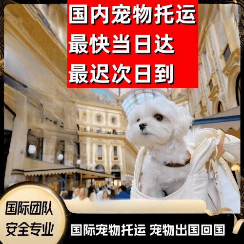 四川省到澳大利亚（澳洲）宠物入境规定和要求