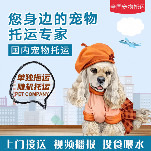 满财四川省宠物全球达宠物托运作为专业的宠物运输代理机构